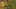 Miniatura de captura de tela do jogo 4