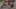 Thumbnail Spiel-Screenshot 4