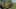 Thumbnail Spiel-Screenshot 5
