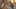 Miniature af spil-screenshot 5