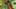 Thumbnail Spiel-Screenshot 5