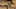 Thumbnail Spiel-Screenshot 2