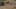 Miniatura de la captura de pantalla del juego 3