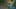 Miniature af spil-screenshot 4