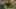 Miniatura de la captura de pantalla del juego 5