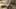 Miniature af spil-screenshot 1