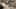 Miniature af spil-screenshot 2
