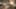 Miniature af spil-screenshot 4