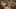 Miniature af spil-screenshot 5