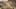 Miniature af spil-screenshot 3