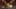 Miniature af spil-screenshot 5