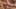 Miniature af spil-screenshot 5