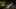 Thumbnail Spiel-Screenshot 1