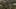 Thumbnail Spiel-Screenshot 2