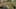 Thumbnail Spiel-Screenshot 1