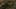 Miniatura da captura de ecrã do jogo 2