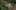 Thumbnail Spiel-Screenshot 3