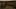 Miniatura screenshot del gioco 4