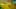 Miniatura de la captura de pantalla del juego 5