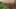 Thumbnail Spiel-Screenshot 2