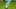 Miniature af spil-screenshot 3
