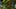 Miniature af spil-screenshot 5