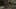 Thumbnail Spiel-Screenshot 1