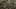 Thumbnail Spiel-Screenshot 5