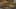 Miniatura de la captura de pantalla del juego 3
