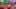 Miniatura de la captura de pantalla del juego 2