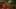 Thumbnail Spiel-Screenshot 1