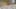 Miniature af spil-screenshot 1