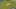 Miniatura screenshot del gioco 4