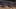 Miniatura de la captura de pantalla del juego 4
