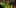 Thumbnail Spiel-Screenshot 2