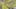 Thumbnail Spiel-Screenshot 5