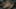 Miniatura screenshot del gioco 5