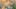 Thumbnail Spiel-Screenshot 3