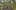 Thumbnail Spiel-Screenshot 1