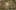 Thumbnail Spiel-Screenshot 3