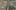 Thumbnail Spiel-Screenshot 4