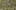 Thumbnail Spiel-Screenshot 5