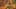 Miniatura de la captura de pantalla del juego 4