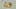 Game screenshot thumbnail 3