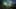 Thumbnail Spiel-Screenshot 4