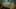 Thumbnail Spiel-Screenshot 5