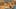 Miniature af spil-screenshot 1