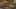 Miniatura de la captura de pantalla del juego 3