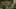 Miniatura de la captura de pantalla del juego 5