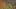 Miniature af spil-screenshot 4